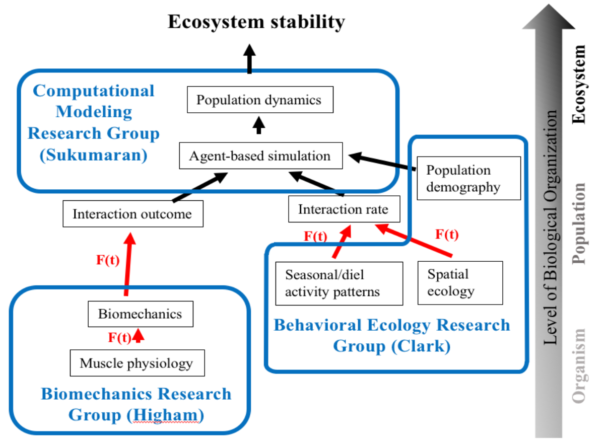 Flowchart of work