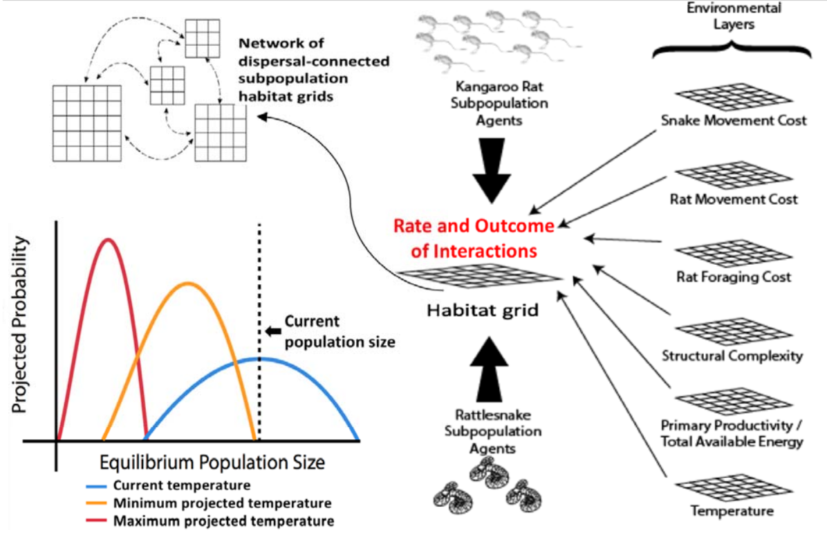 Simulation model outline